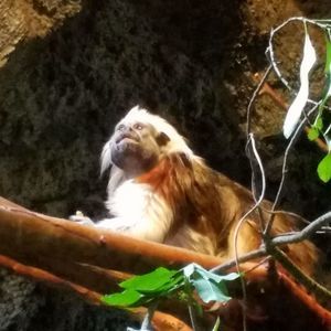 Meet your Posher, Herbert